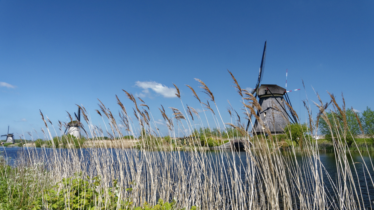 20140419 131615•Alblasserdam•South Holland•Netherlands